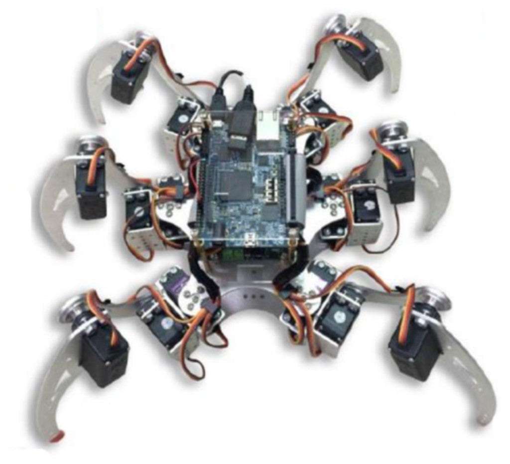 Spider Robot